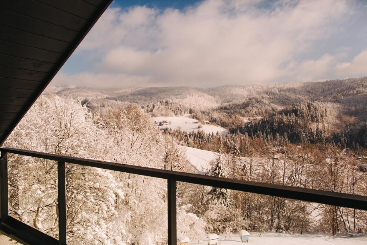 Apartamenty 'Okno Z Widokiem' Wisla Luaran gambar