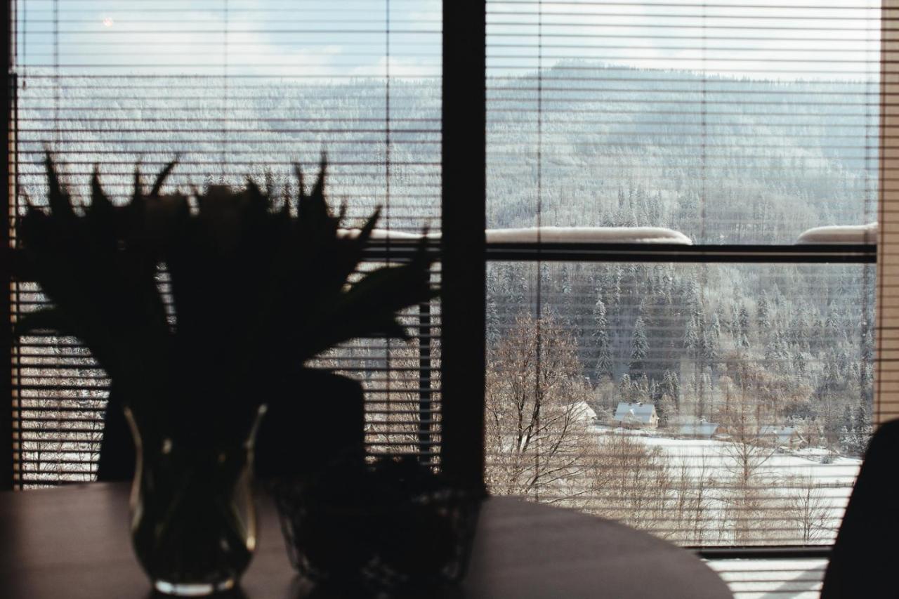 Apartamenty 'Okno Z Widokiem' Wisla Luaran gambar